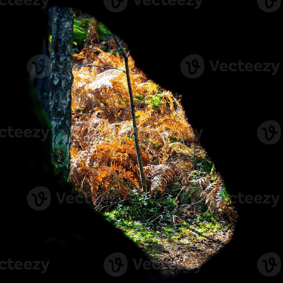 I Can See You 14280666 Stock Photo At Vecteezy I Can See You 14280666 Stock Photo At Vecteezy