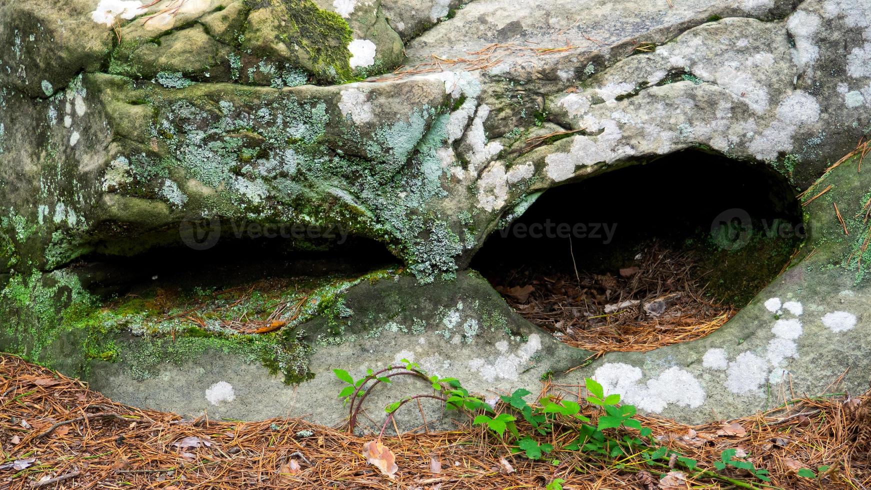 superhéroe la roca foto