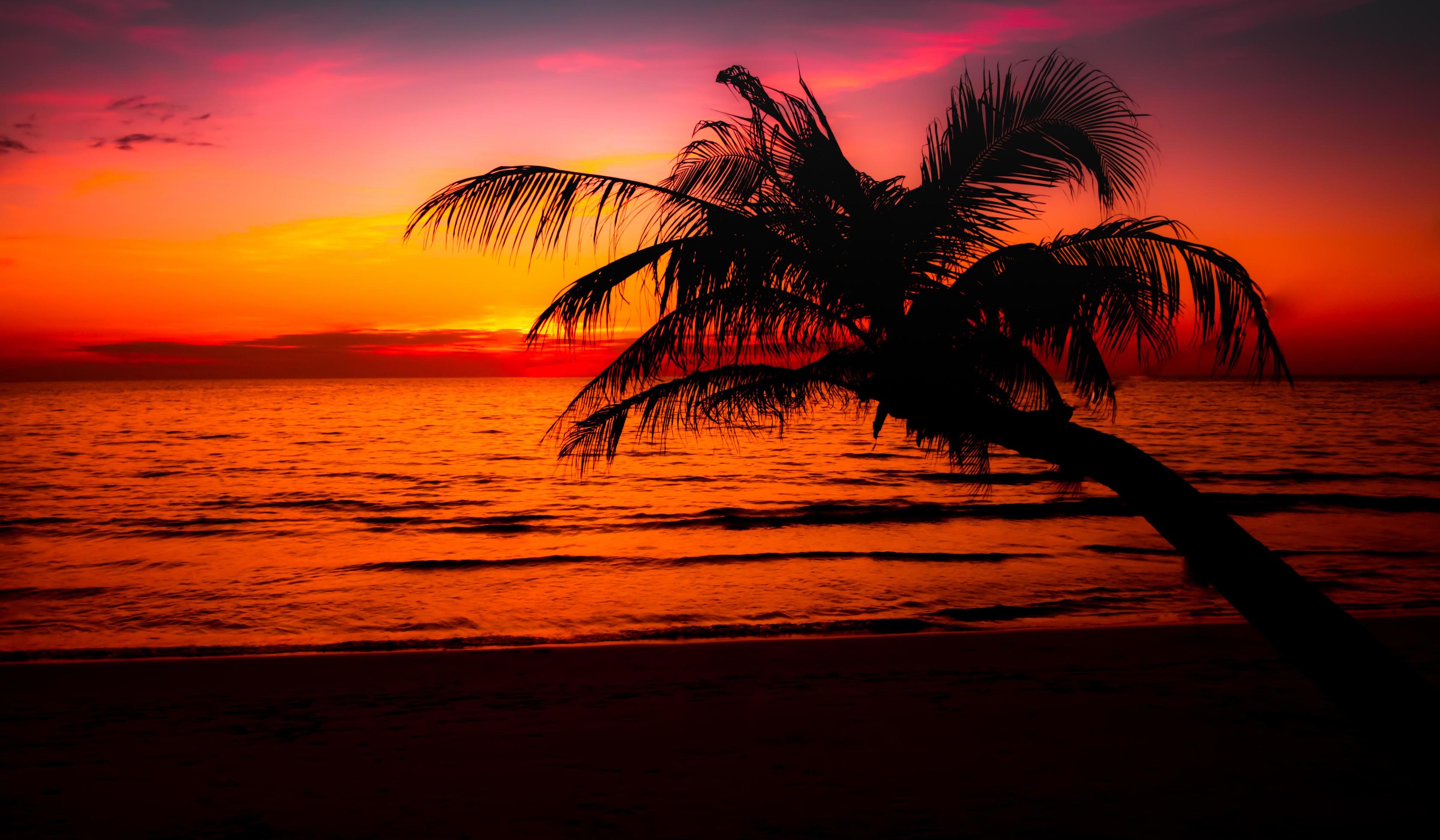 Beautiful sunset on the tropical sea beach.Silhouette of palm trees on ...