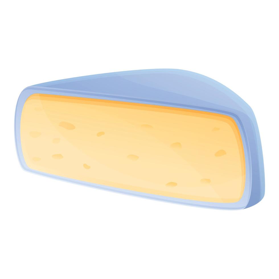 Soft cheese icon, cartoon style vector