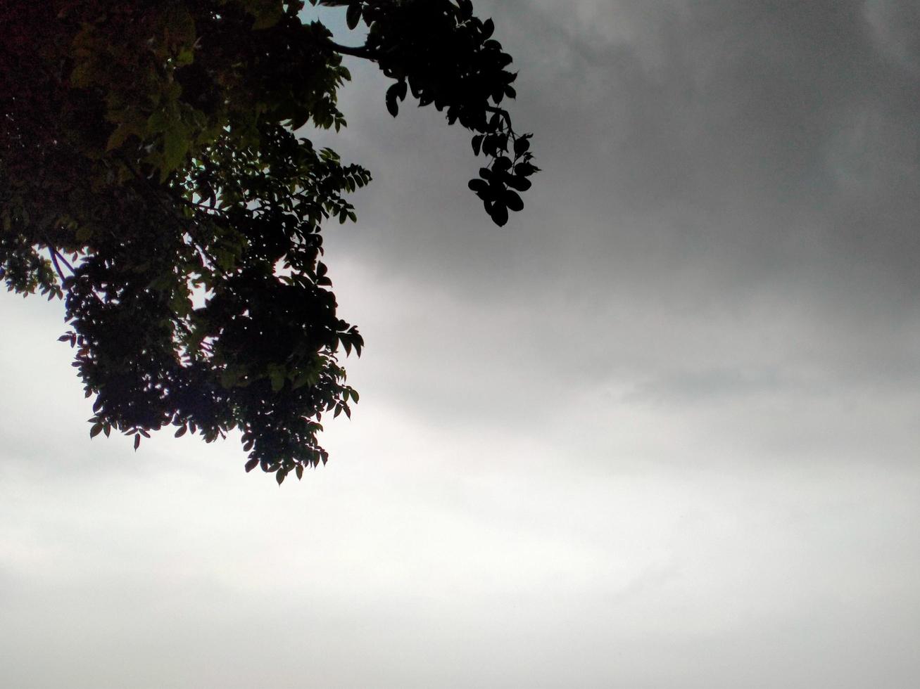 explorar el cielo, la belleza de la naturaleza, el fondo de pantalla, el paisaje de belleza foto