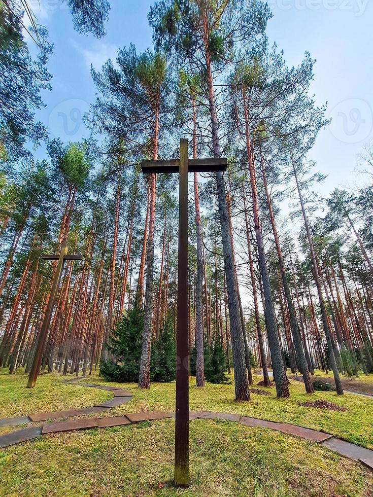 cruces altas entre los árboles en el cementerio militar polaco. monumento a la segunda guerra mundial. foto