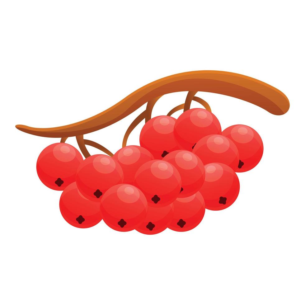 Red rowan icon, cartoon style vector