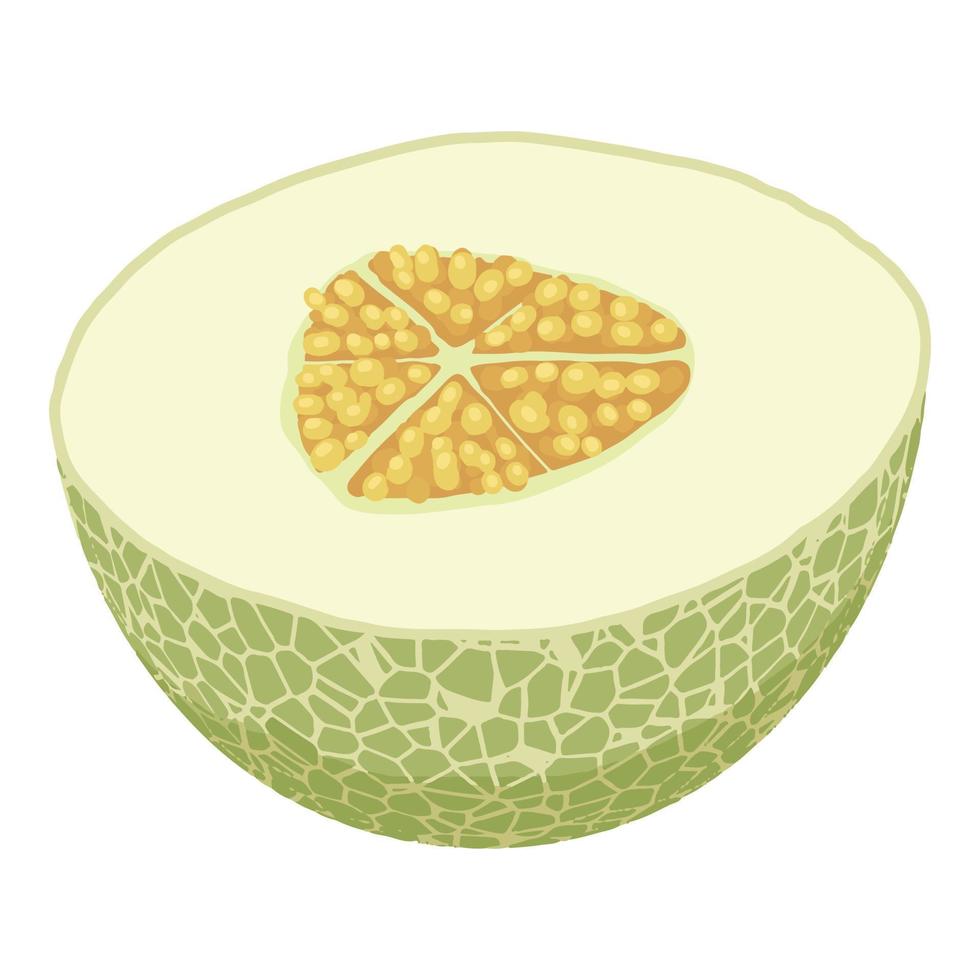 Half fresh melon icon, isometric style vector