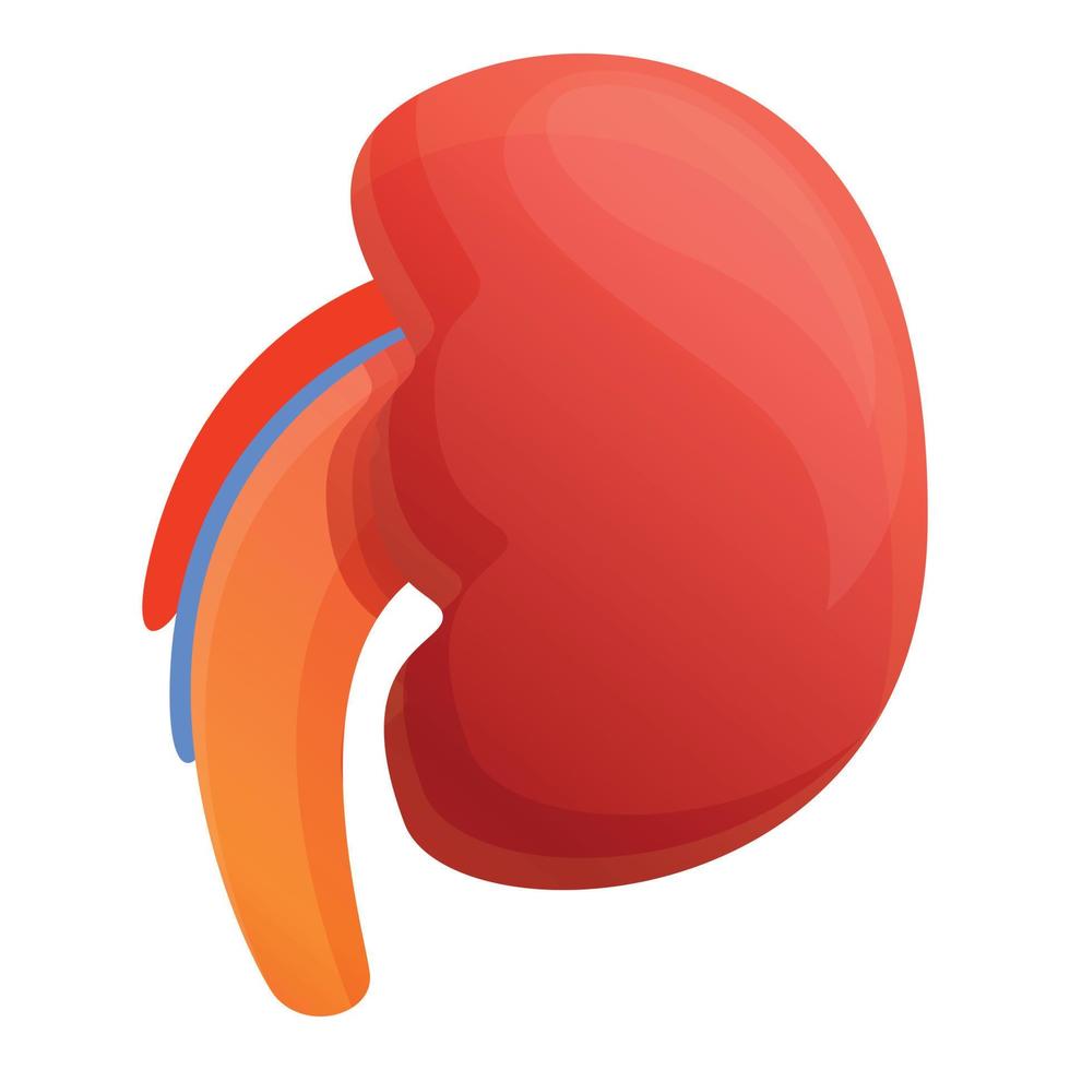 Kid kidney icon, cartoon style vector