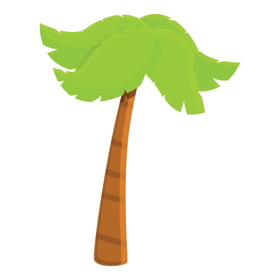 Natural palm tree icon, cartoon style vector
