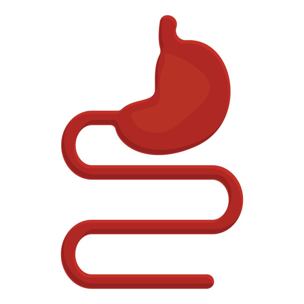 Stomach small intestine icon, cartoon style vector