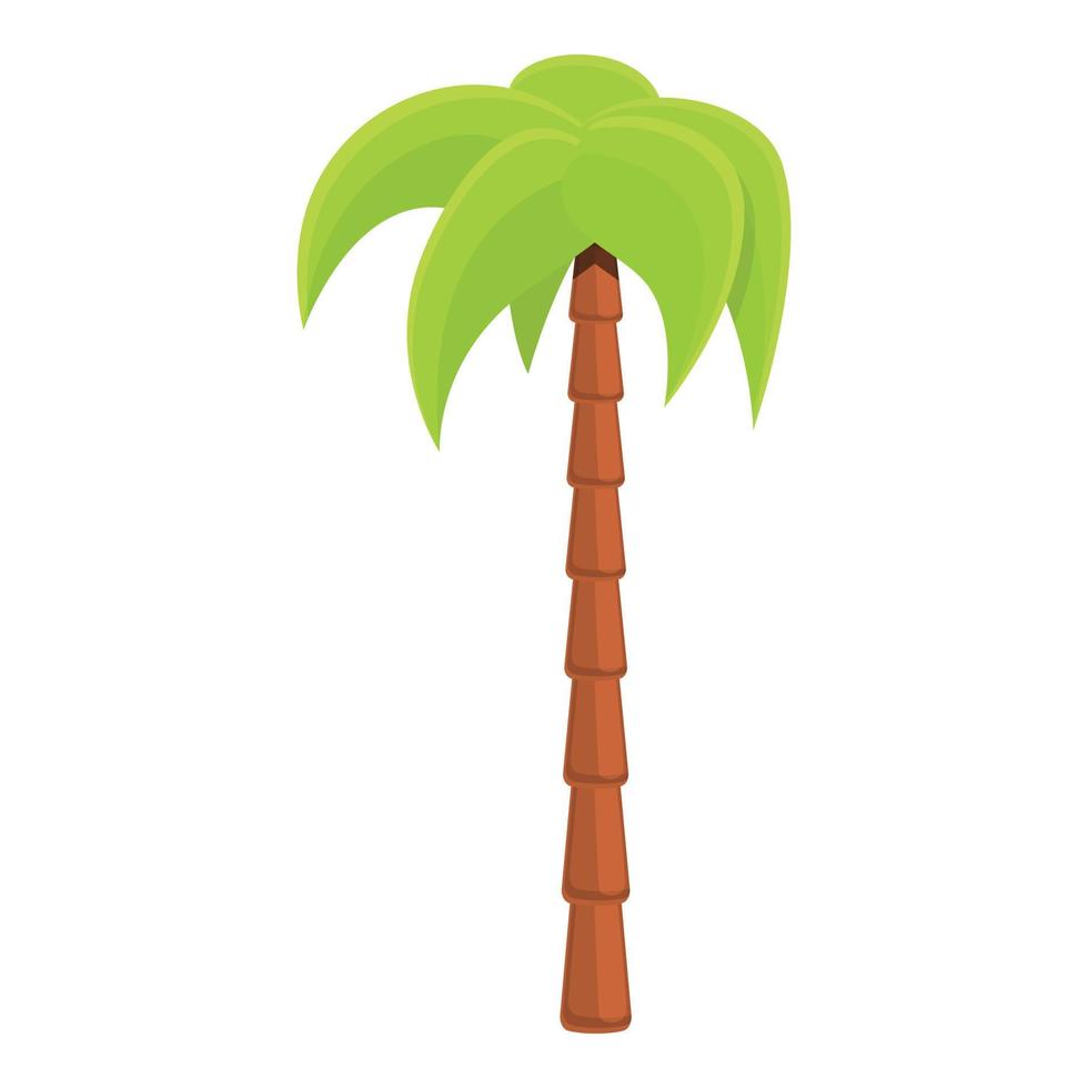 Graceful palm tree icon, cartoon style vector