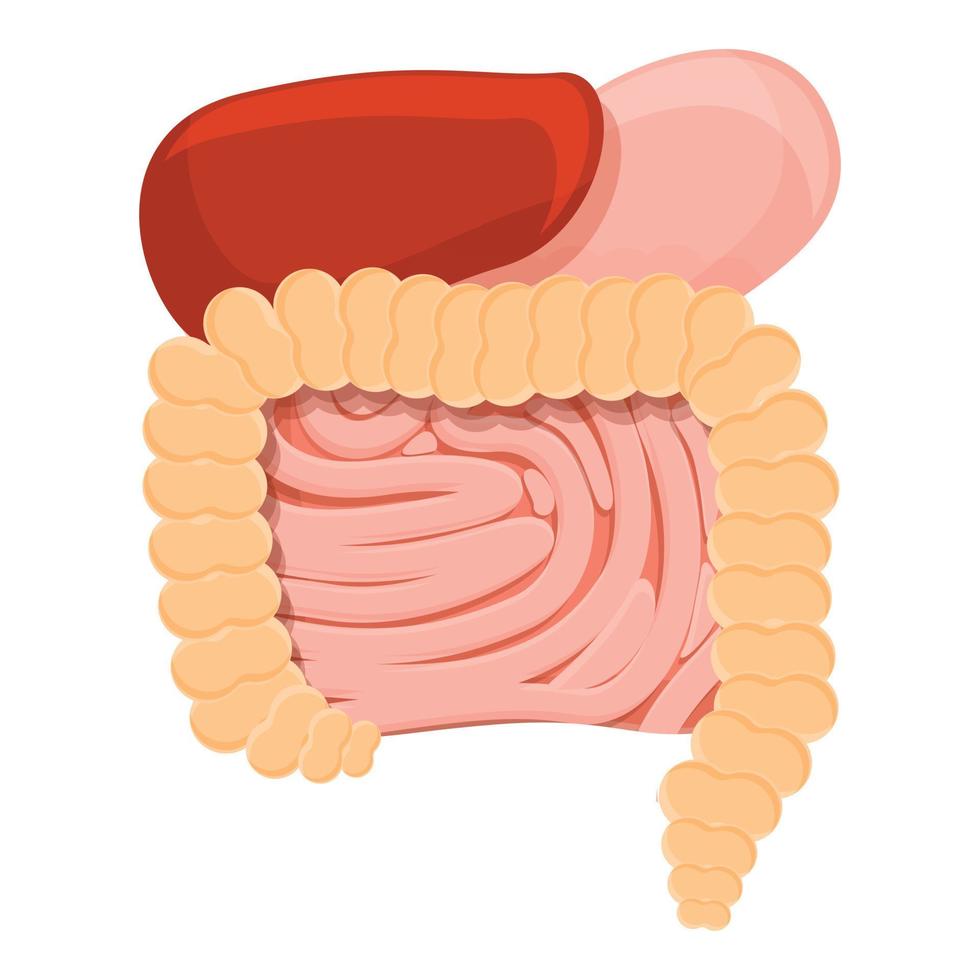 icono del sistema de digestión metabólica, estilo de dibujos animados vector