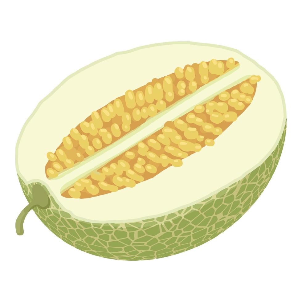 Half melon icon, isometric style vector