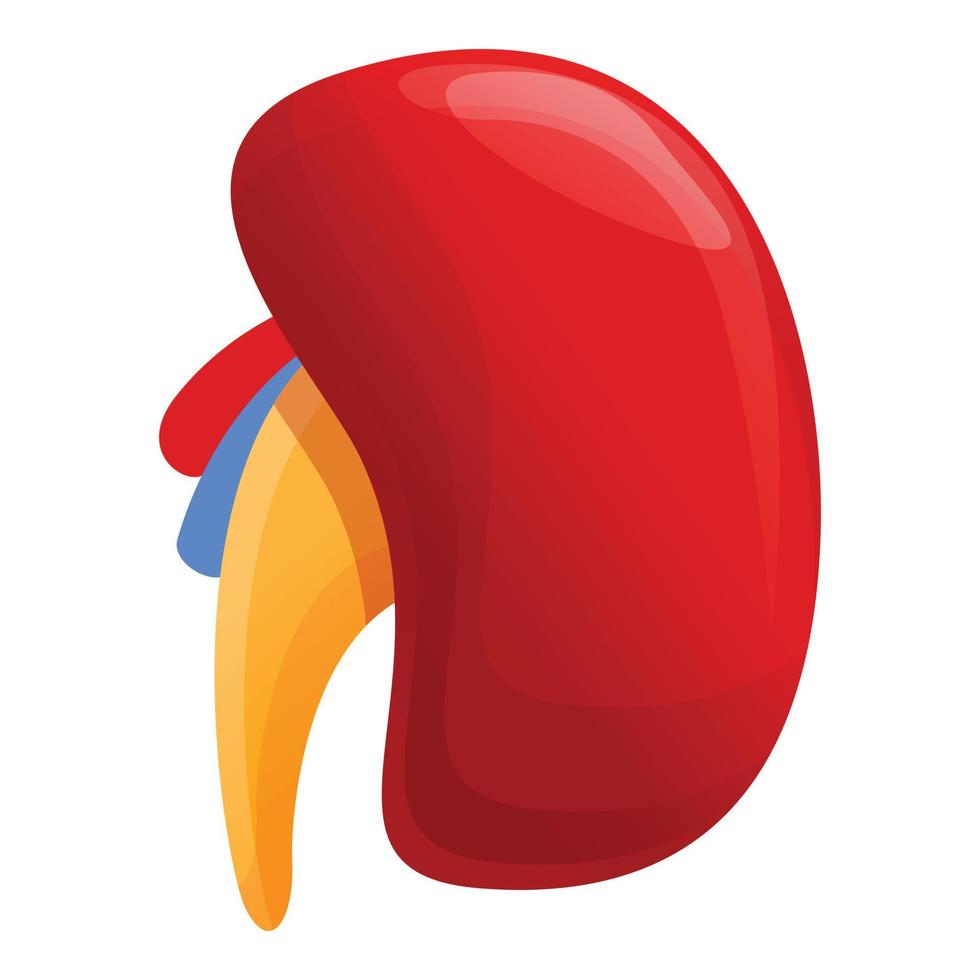 Kidney icon, cartoon style vector