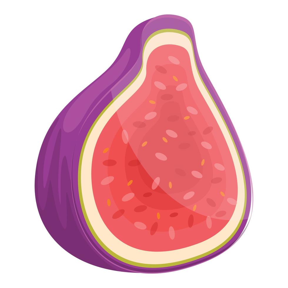 Diet fig icon, cartoon style vector