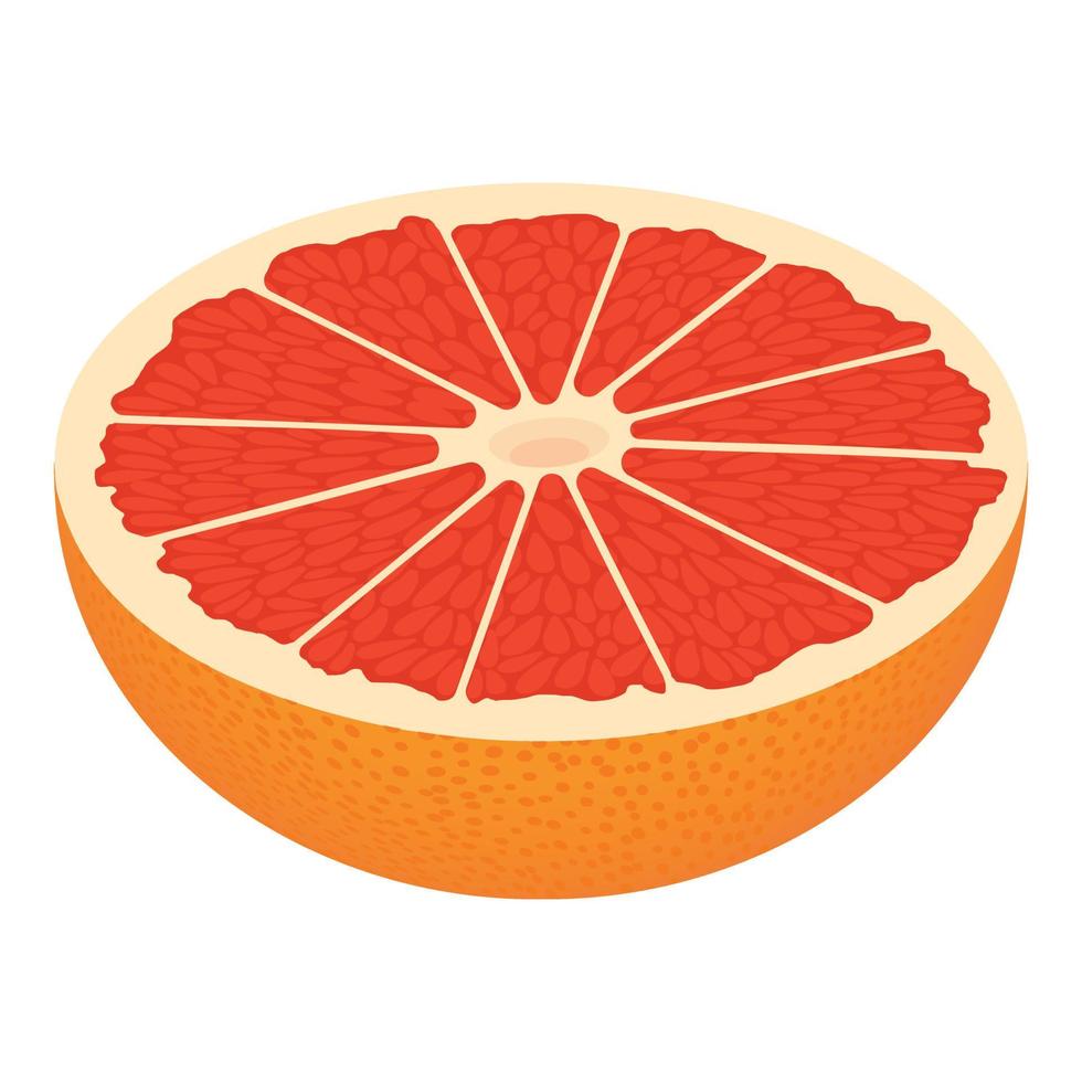 Half cutted grapefruit icon, isometric style vector