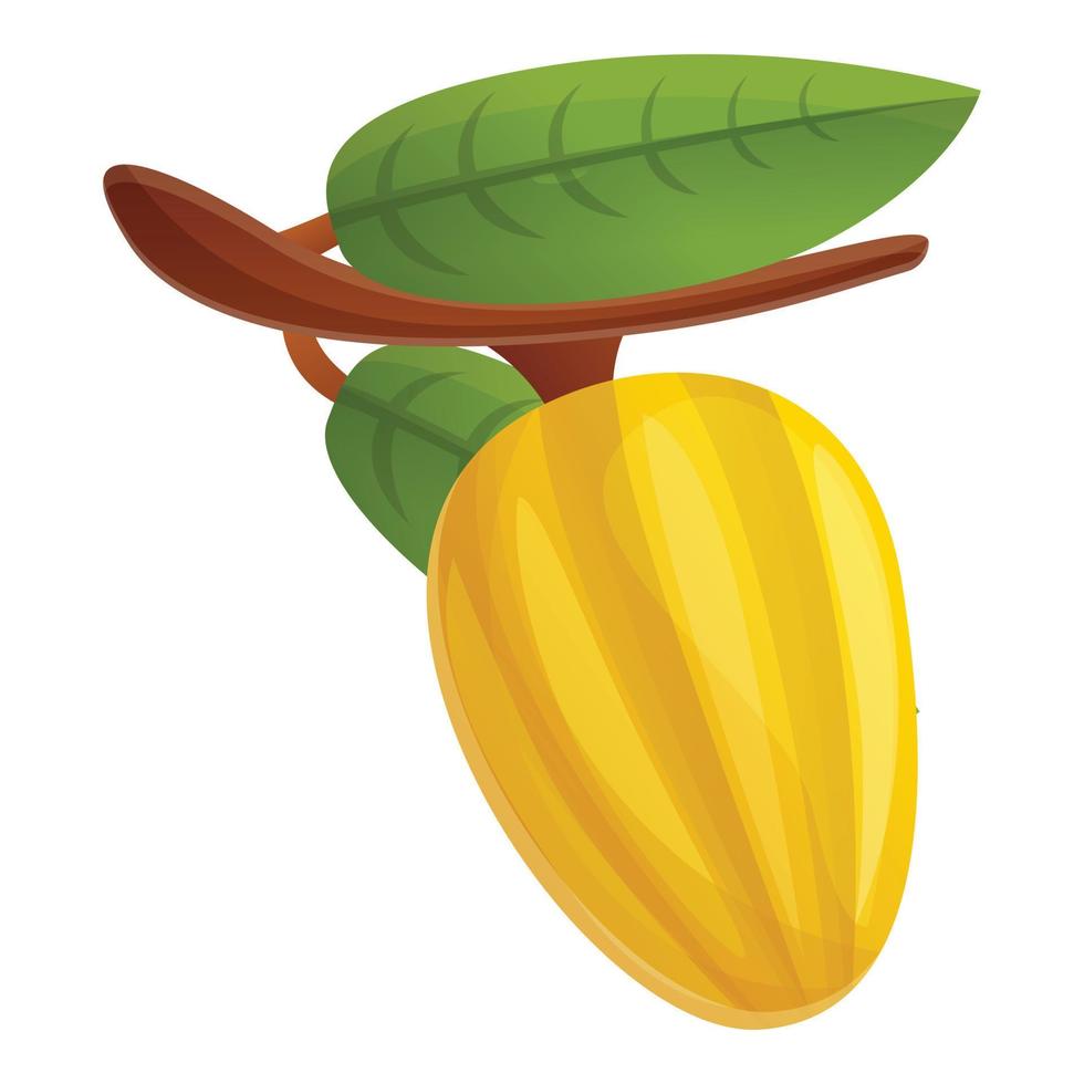 Raw cocoa fruit icon, cartoon style vector