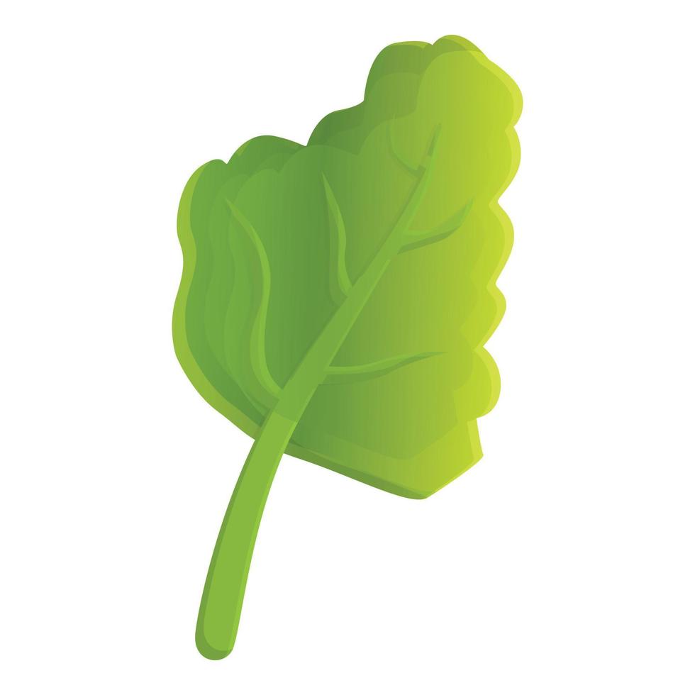 Agriculture arugula icon, cartoon style vector