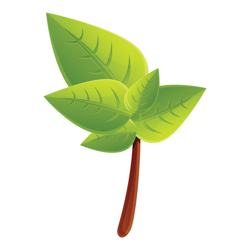 icono de hoja de albahaca, estilo de dibujos animados vector