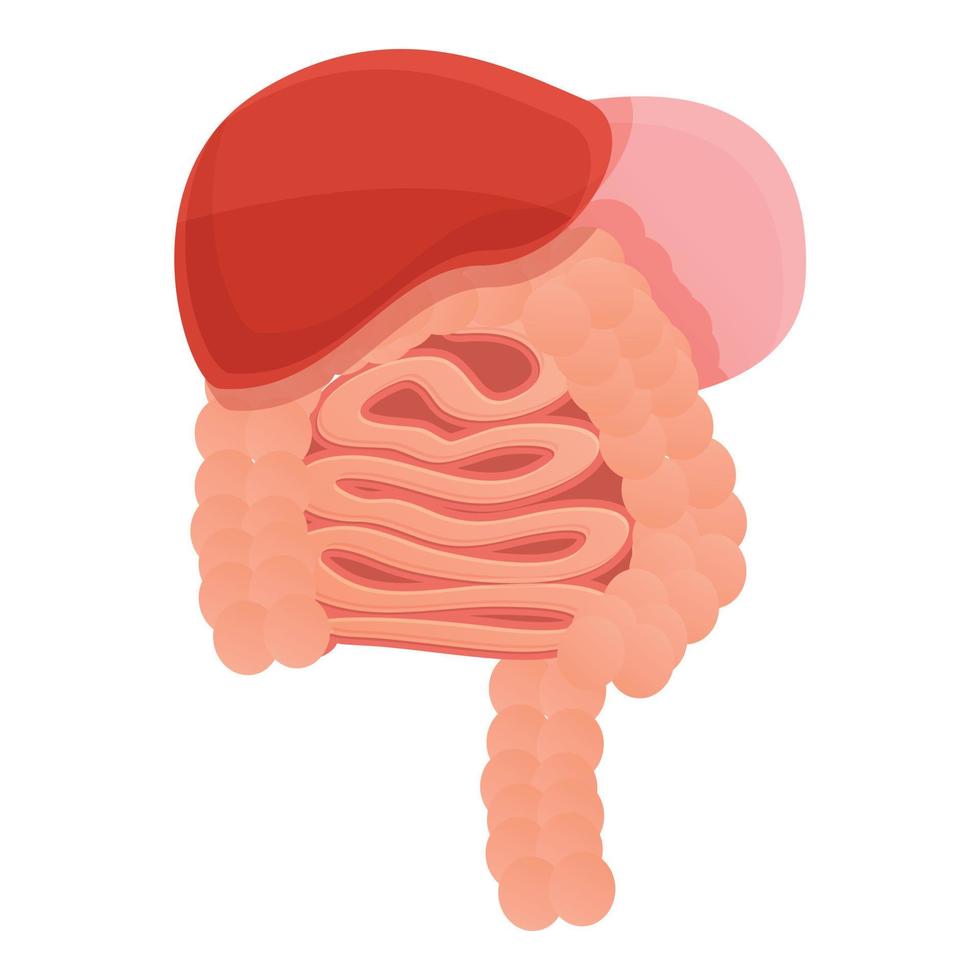 icono del sistema corporal de digestión, estilo de dibujos animados vector