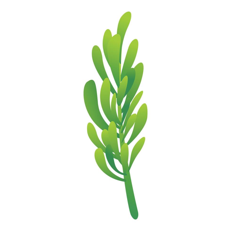 Rosemary herb icon, cartoon style vector