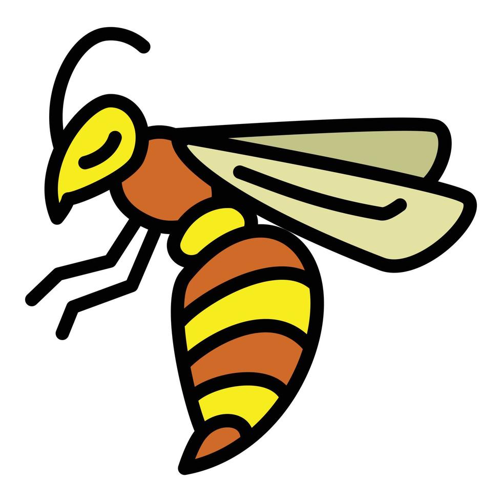 Wasp insect icon, outline style vector