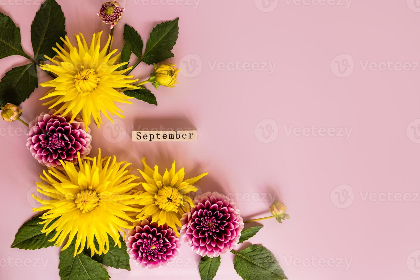 beautiful bright dahlias, autumn flowering flowers in a composition with a wooden calendar. September. top view. flat layout. space for text. photo