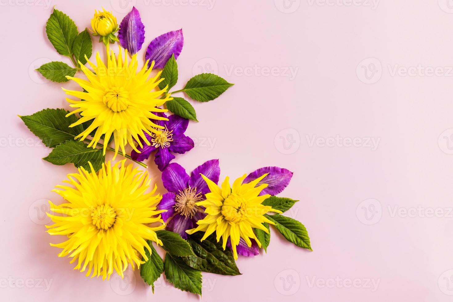 arreglo floral de flores de otoño. dalias amarillas y clemátides moradas sobre un fondo pastel con una copia del espacio. vista superior. foto