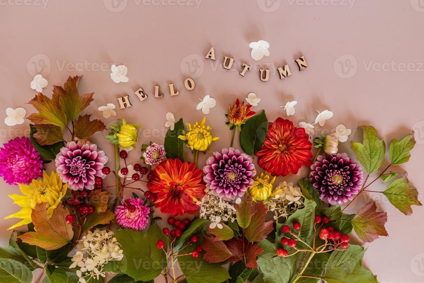 bouquet of bright autumn flowers. festive border. cut dahlias, asters, sprigs of viburnum. top view. Text of wooden letters-hello autumn. photo