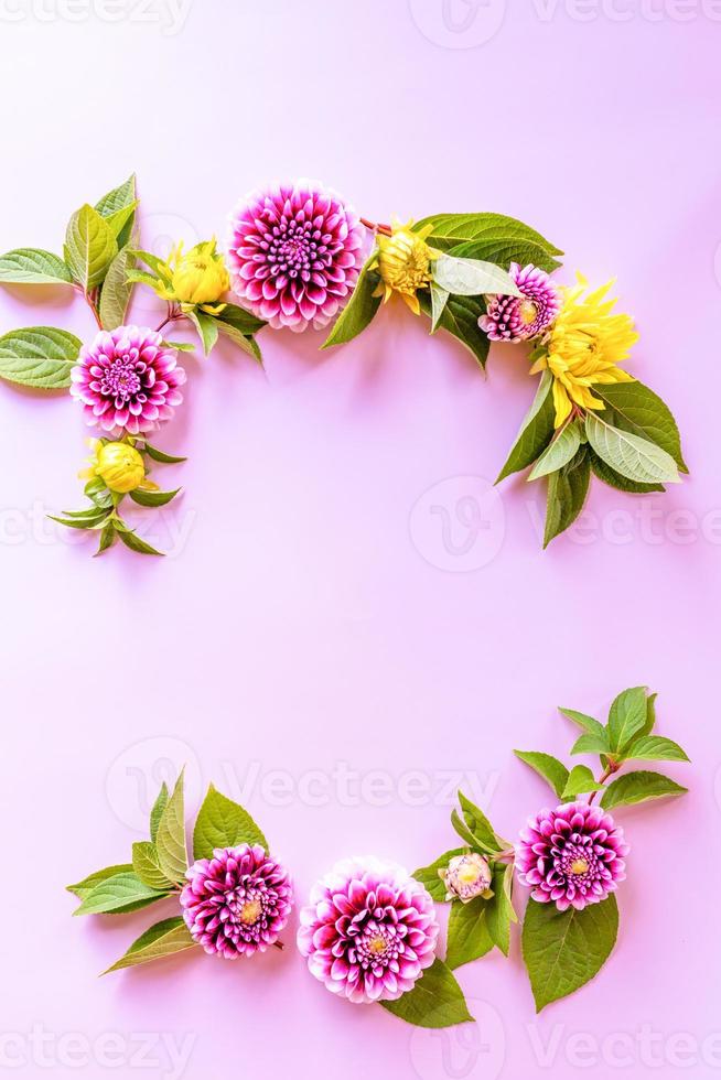 a semicircle of autumn multicolored dahlias. autumn composition. top view. a copy of the space. delicate lilac background. photo