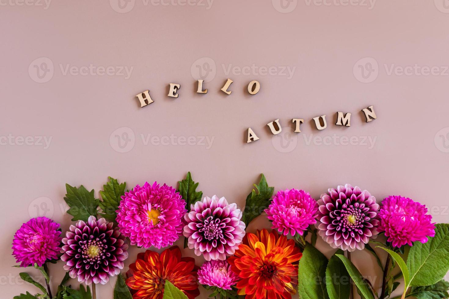un brillante borde floral otoñal de ásteres y dalias sobre un fondo beige. texto de letras de madera - hola otoño. concepto florístico de otoño. foto