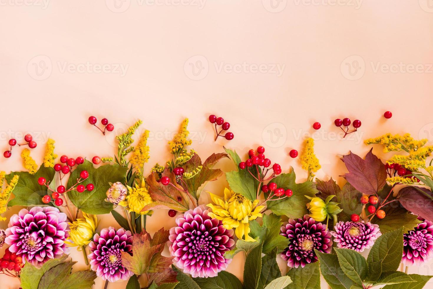 bright multi-colored border of autumn flowers and berries on a beige background. a copy of the space. top view. postcard. festive poster. photo