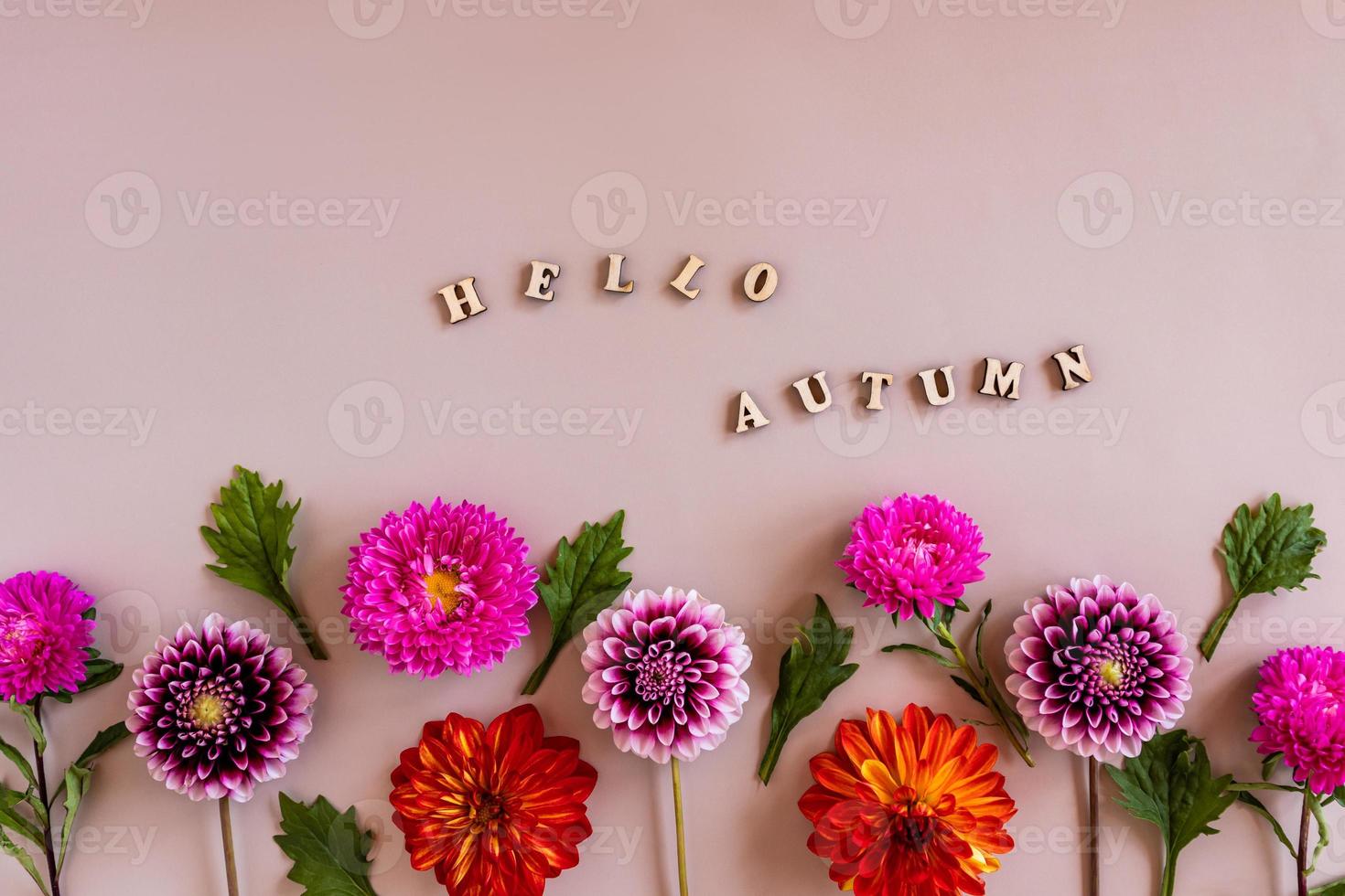 top view of the floral border of autumn multicolored flowers and text of wooden letters - hello autumn. pastel background. photo