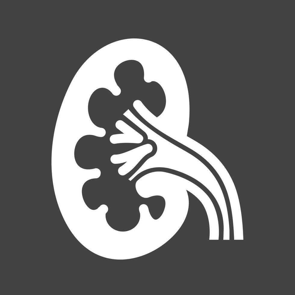 Kidney Glyph Inverted Icon vector