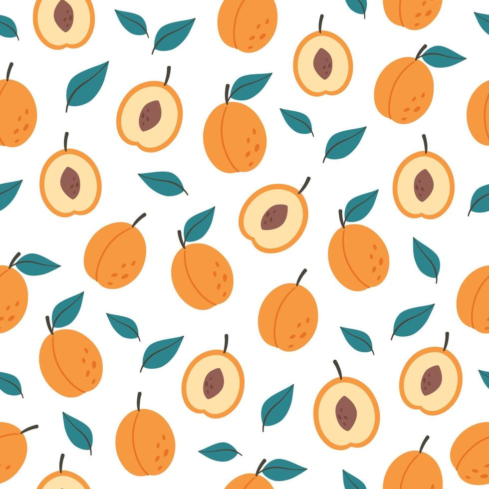 Fresh apricot seamless pattern. Summer fruit. Healthy and organic food seamless pattern. vector