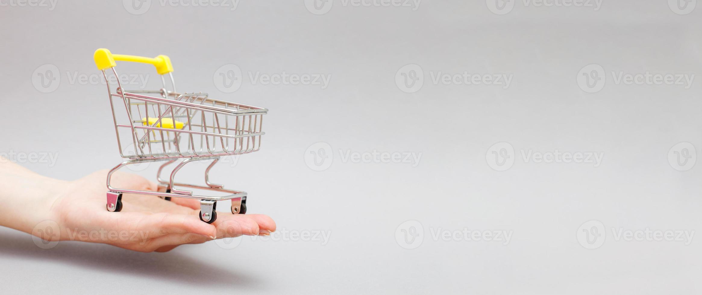 el carrito de compras en mano femenina sobre fondo gris. bandera foto