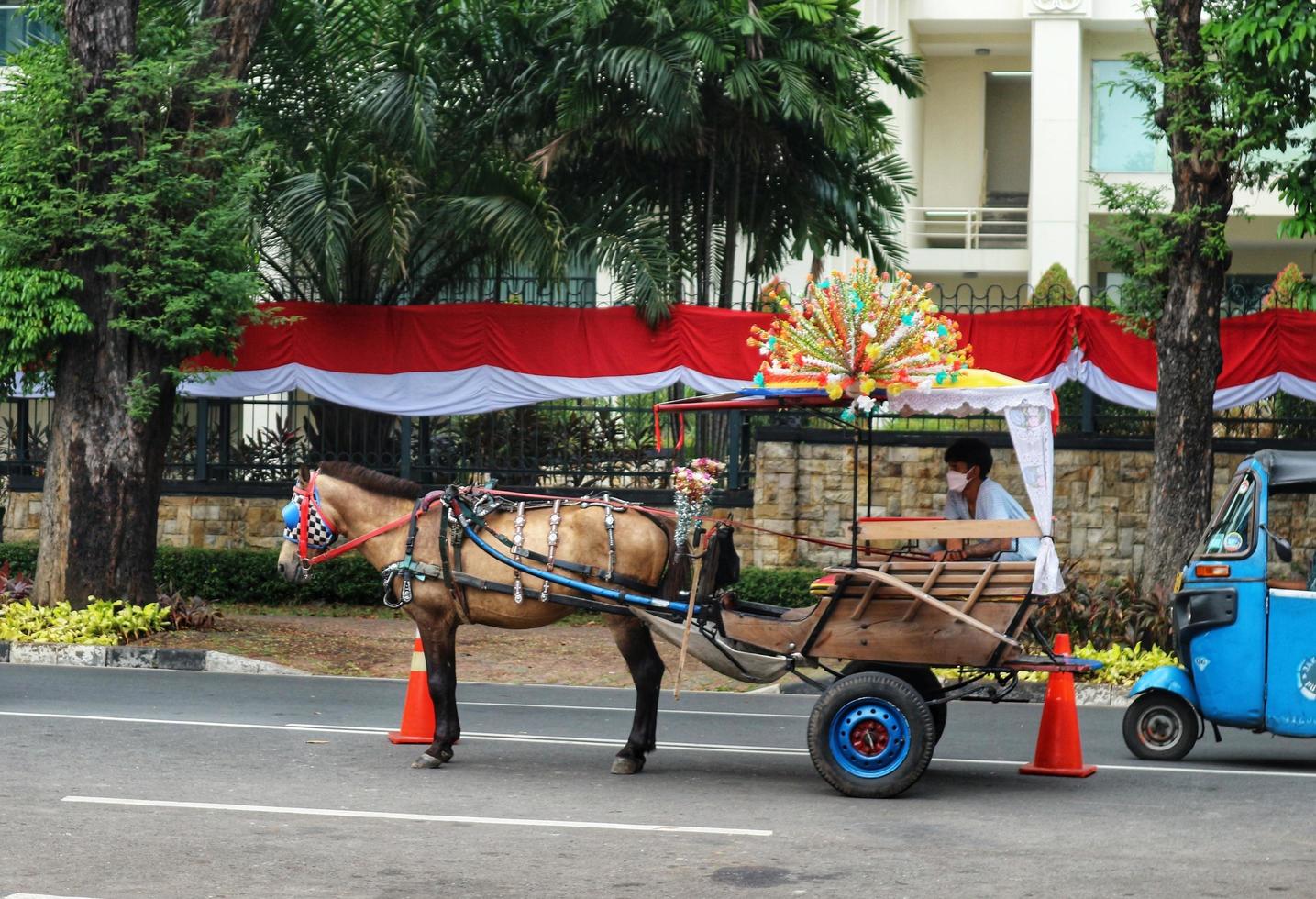 Jakarta, Indonesia in August 2022. Dokar or Andong which is a passenger carriage, is parked in front of the bull field to wait for tourists. photo