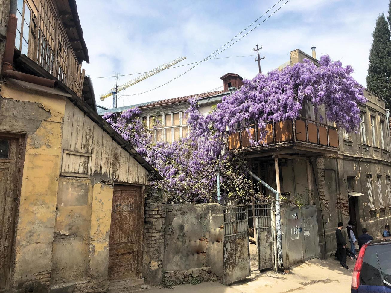 hermosa casa marrón antigua de tres pisos, barrios marginales entrelazados con arbustos de lila púrpura en la antigua zona urbana foto