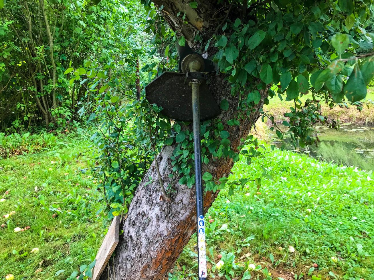 a lawn mower stands near a tree. a grass mowing machine is standing near an apple tree, waiting for the gardener. creating a smooth lawn. home improvement photo