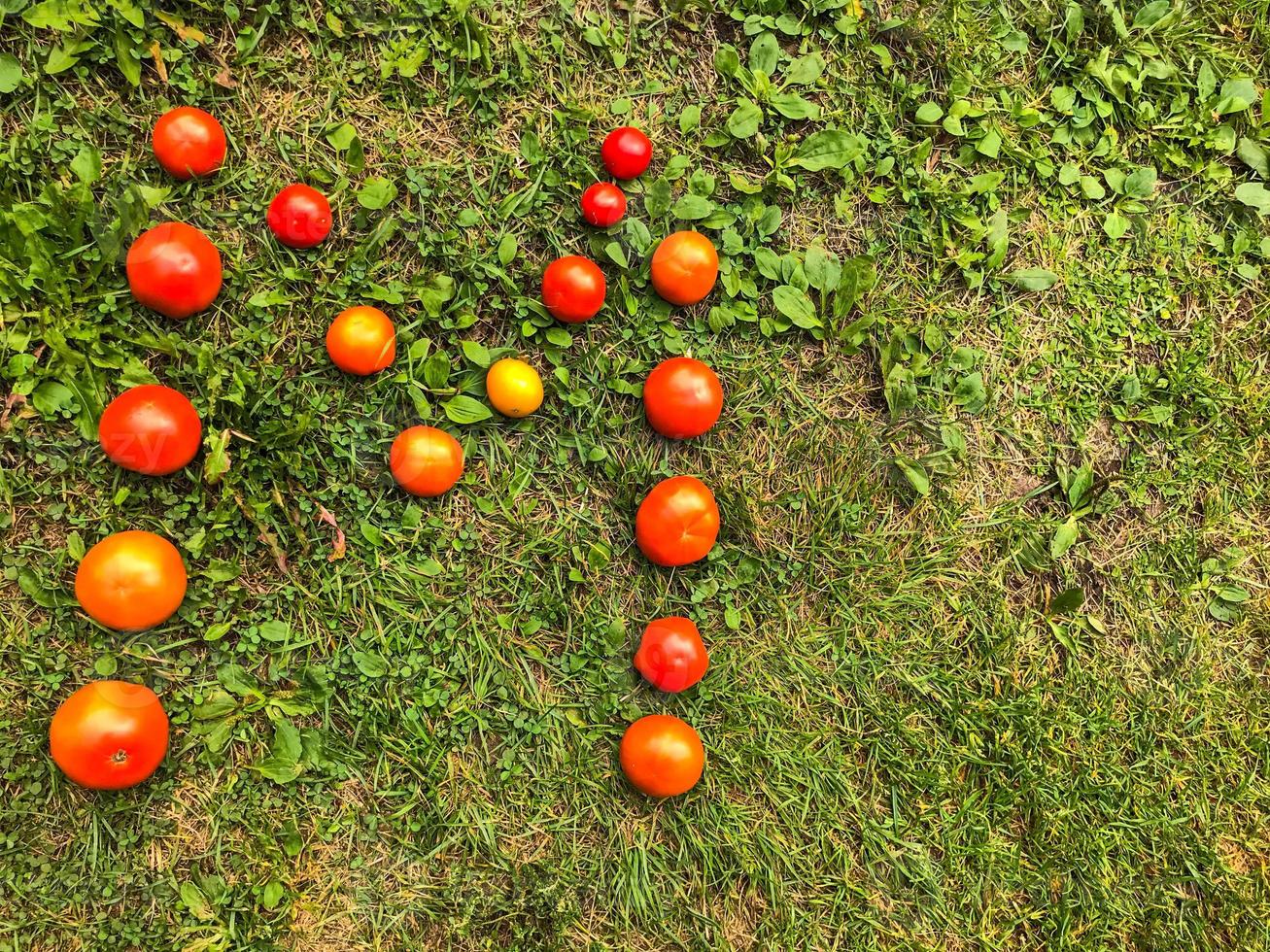 carta hecha de tomate. inscripción de verduras. la letra m está llena de tomates rojos, rosados, amarillos, jugosos y redondos. carta de vitamina, sobre un fondo de hierbas. ensalada de verduras, merienda saludable foto