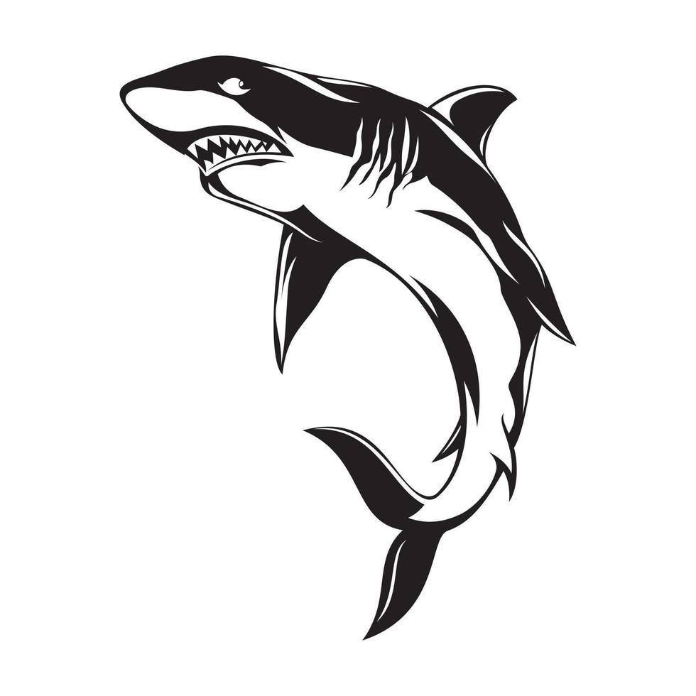Ilustración de vector de silueta de tiburón - imágenes prediseñadas de tiburón blanco y negro