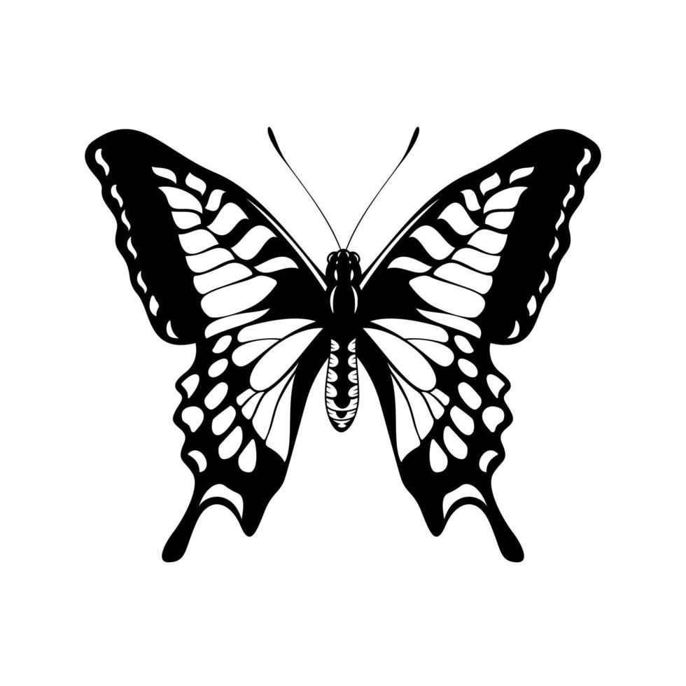 mariposa blanca y negra - silueta de mariposa vector