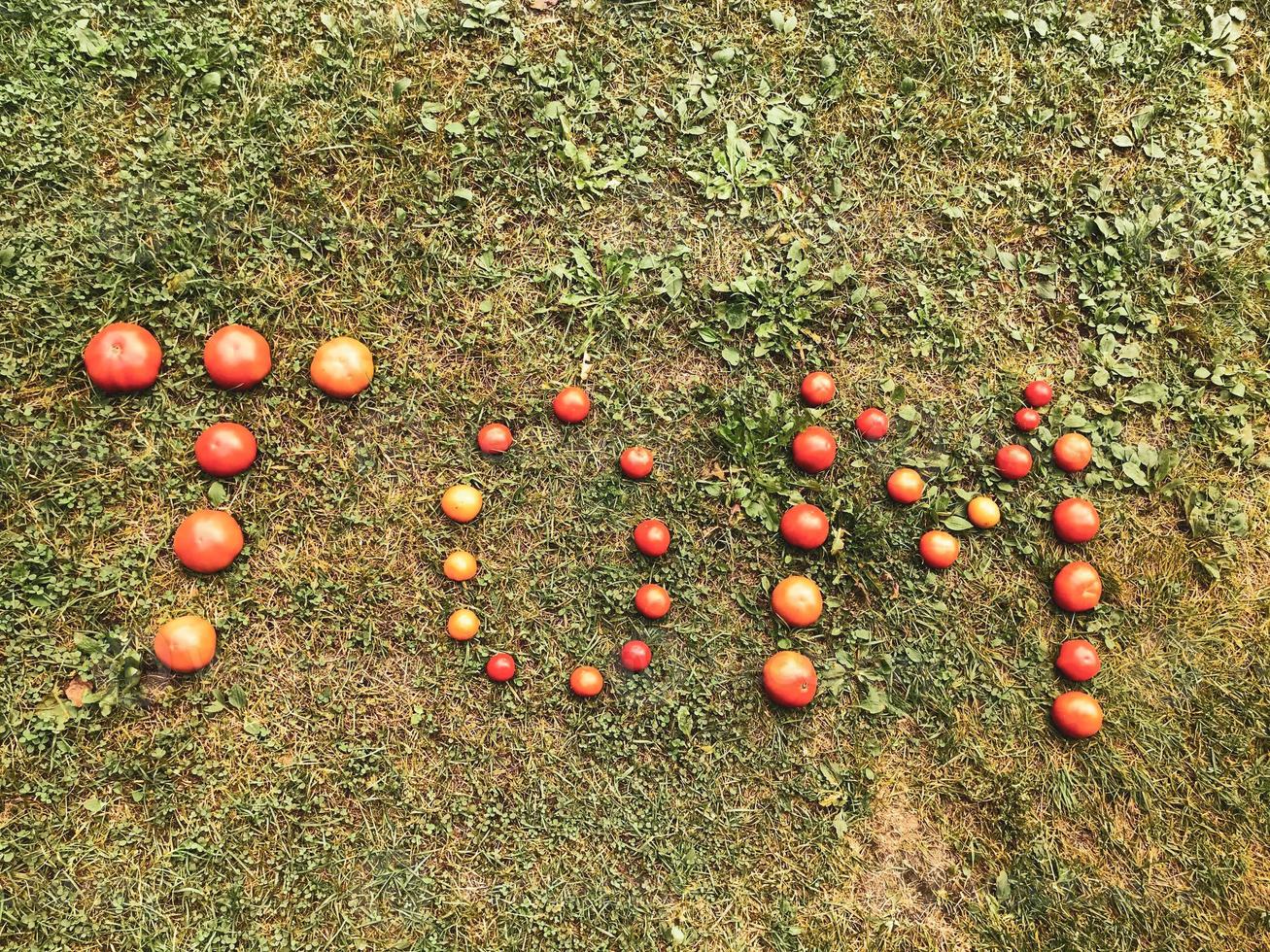 letras de tomate. palabra hecha de verduras. las letras t, o y m, la palabra tom están bordeadas con tomates redondos rojos y amarillos. contra el fondo de la hierba. ensalada de vitaminas, comida saludable foto