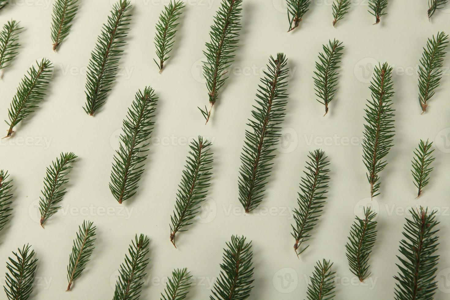 Holidays greeting card or banner composition with pine tree branches. Merry Christmas background and Happy New Year 2023. photo
