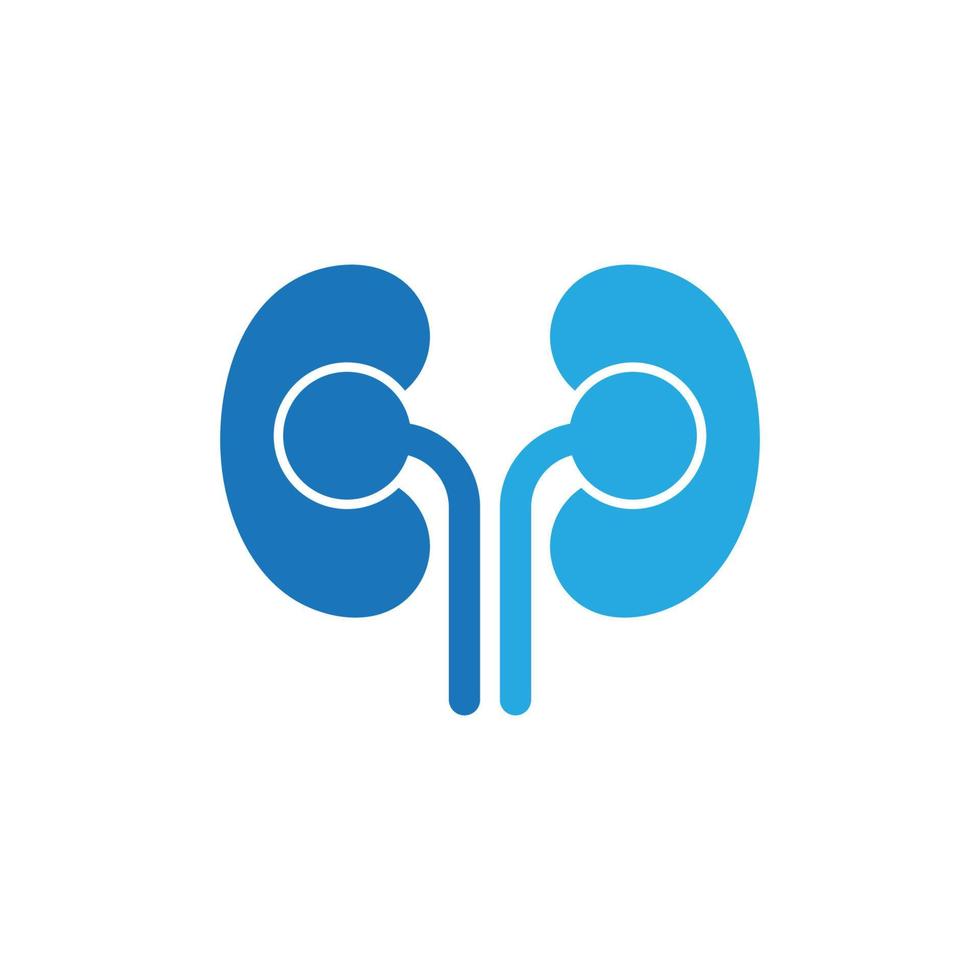 kidney vector illusrtation