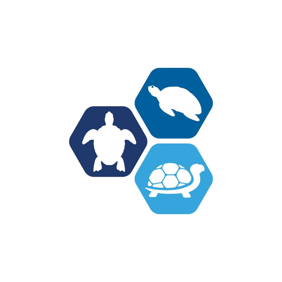 Turtle animal cartoon icon vector