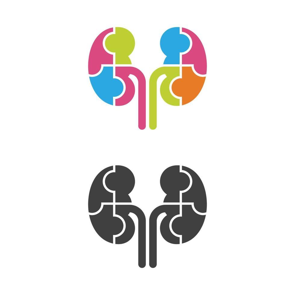 kidney vector illusrtation