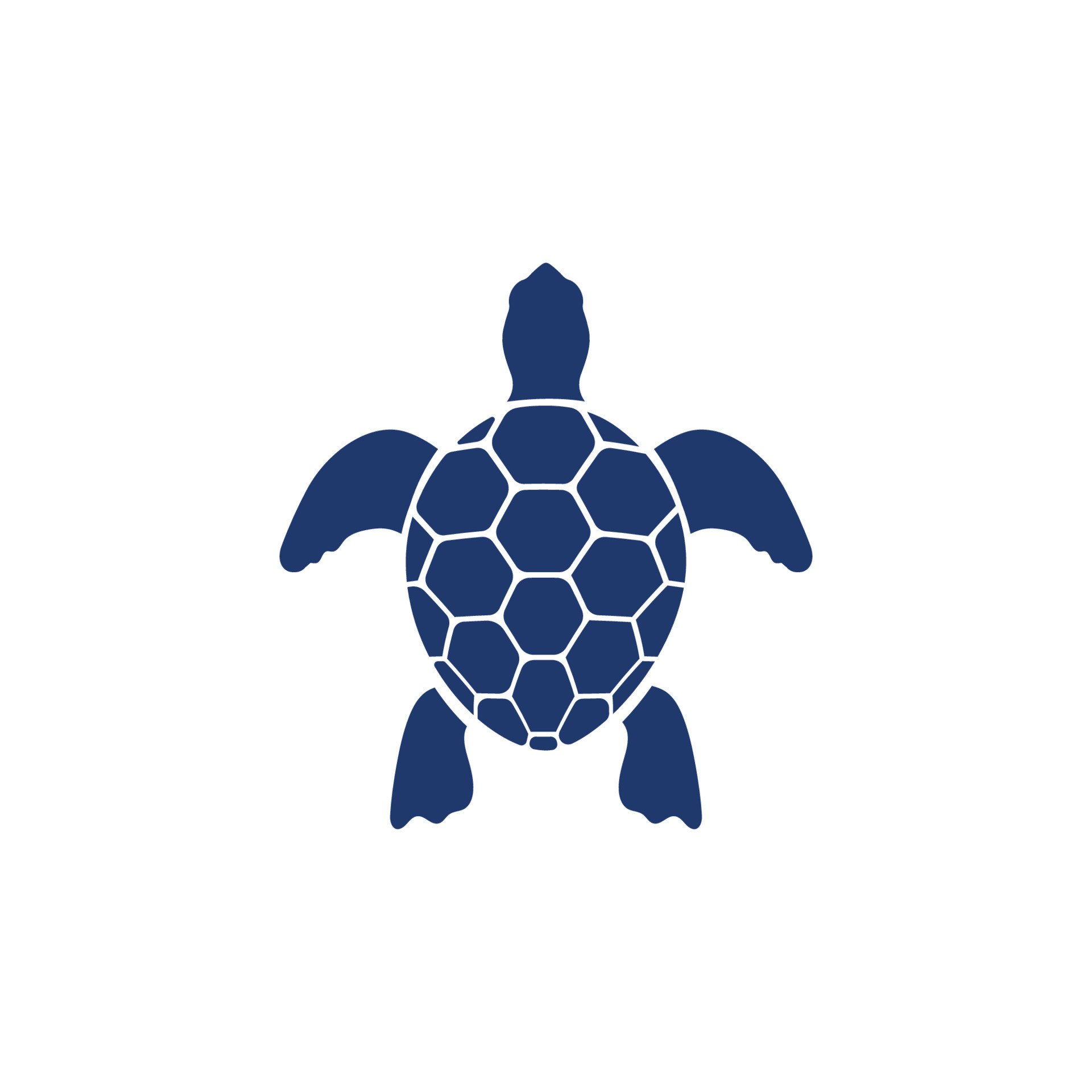 Turtle animal cartoon icon 14290944 Vector Art at Vecteezy