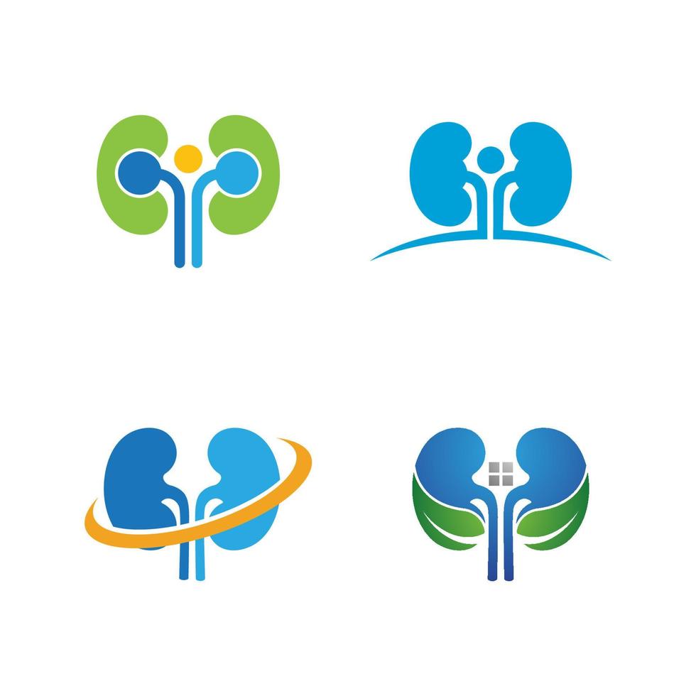 kidney vector illusrtation