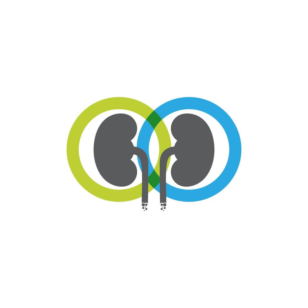 kidney vector illusrtation