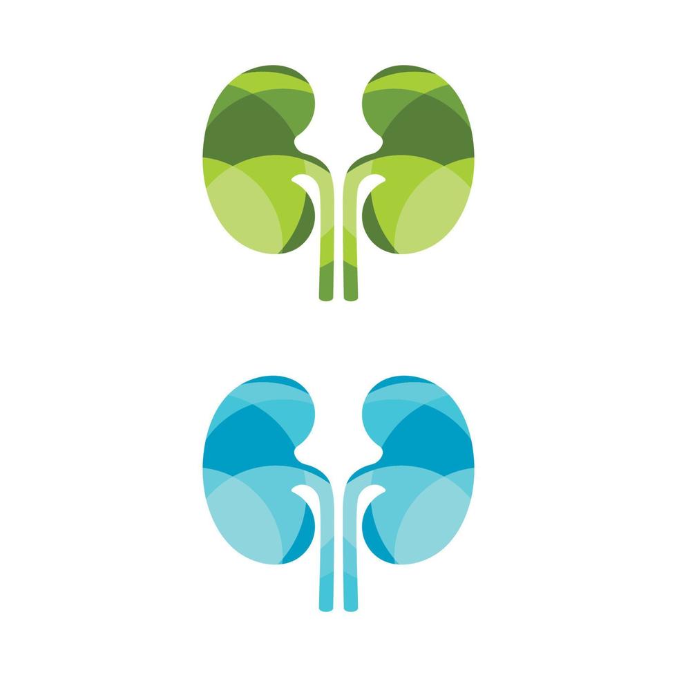 kidney vector illusrtation