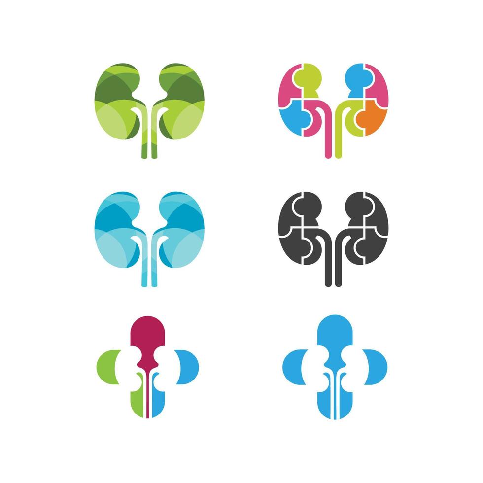 kidney vector illusrtation