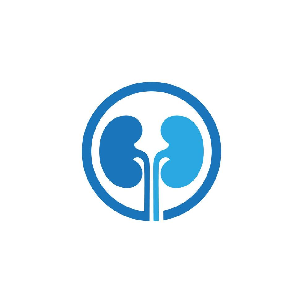 kidney vector illusrtation